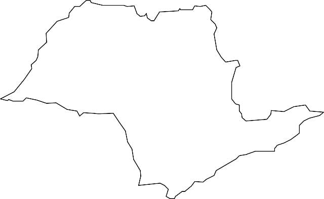 Kort over São Paulo vektor