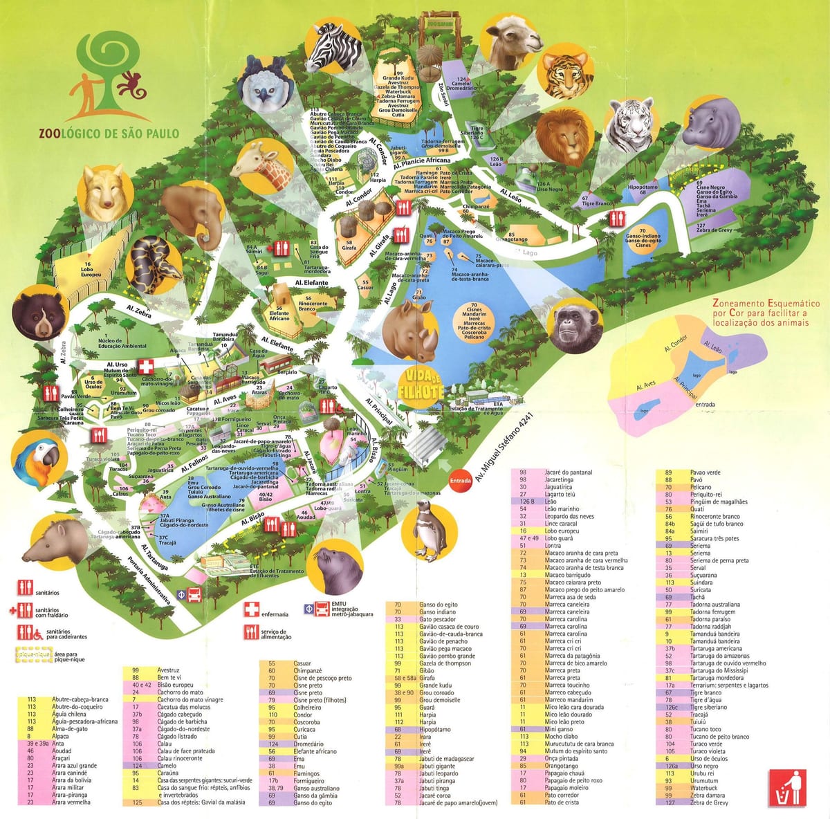 Kort zoologiske park i São Paulo